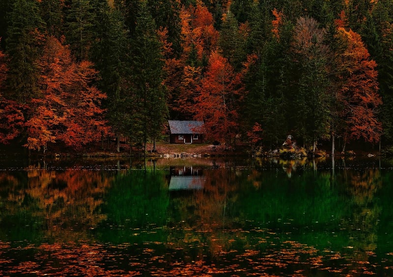 Secluded Cabins